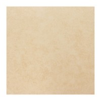 G447312 Chrysant Honey 40x40 Gol A G447312 Chrysant Honey 40x40 Gol A